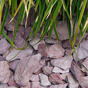 canadian-slate-split-paars-30-60-mm-thumb