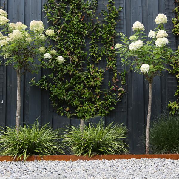 kantopsluiting-single-corten
