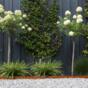 kantopsluiting-single-corten-thumb