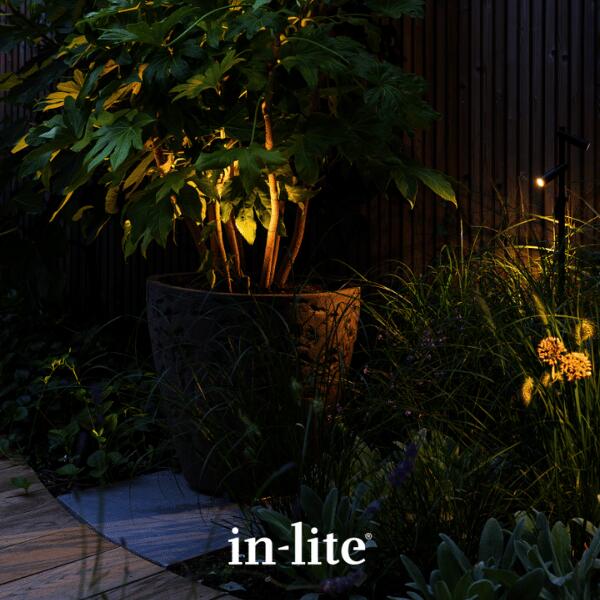 in-lite-micro-scope
