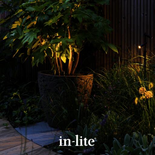 in-lite-micro-scope
