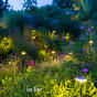 in-lite-sway-light-head-pearl-grey-thumb