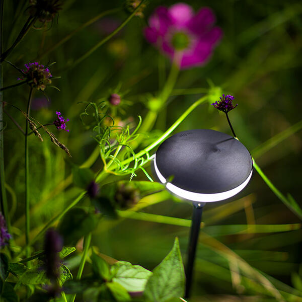 in-lite-sway-light-head-black