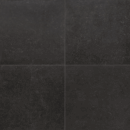 QLCM54502.GCERA_1.png