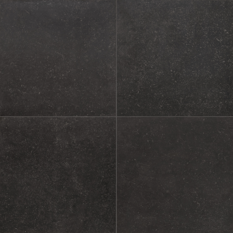 QLCM54502.GCERA_1.png