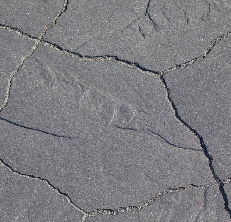 GeoArdesia Alivo Cannobio
