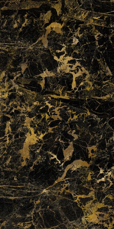 BLACK_GOLD_1_sb_doradoluz-1.jpg