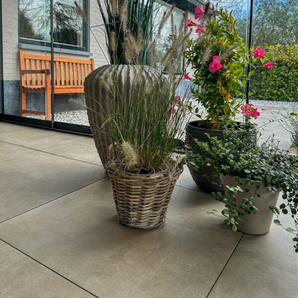 Metropole 20MM Beige