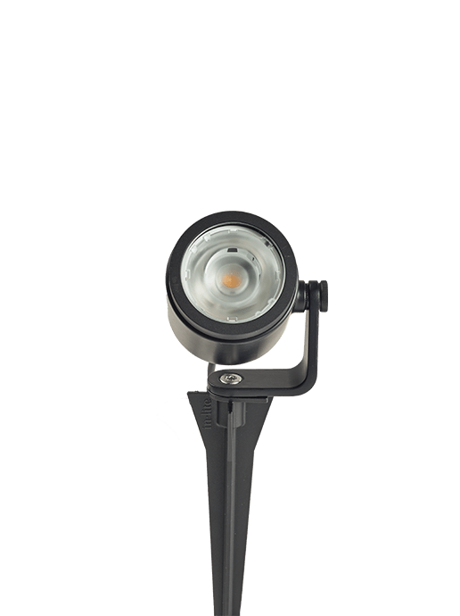 Big Scope Narrow - spot