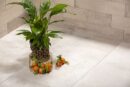 GeoCeramica® 120x60x4 Motion Beige