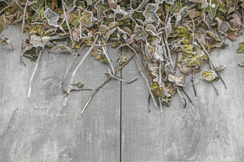 GeoCeramica® 80x40x4 Timber Grigio - Afbeelding 2