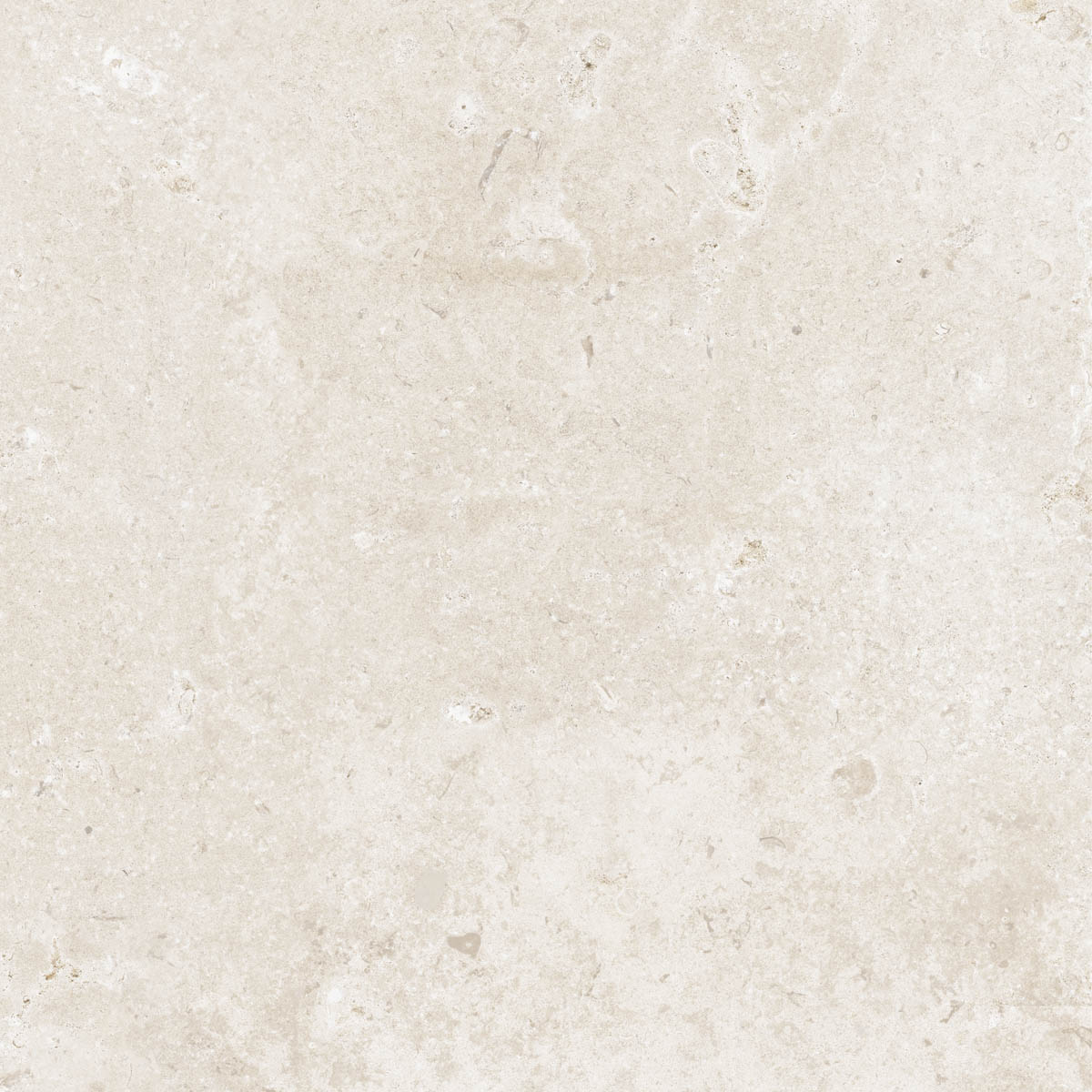 GeoCeramica® 60x60x4 Timeless Ivory
