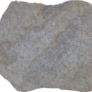 Flagesa 10MM Gris
