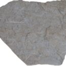 Flagesa 10MM Gris