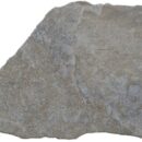 Flagesa 10MM Gris