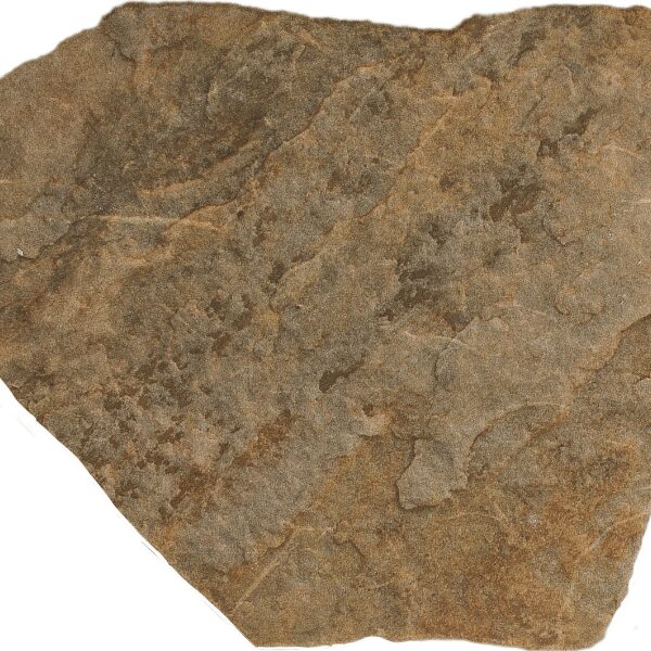 Flagesa 10MM Marron
