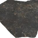 Flagesa 10MM Antracita
