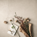 Coquille 10MM Champagne mat