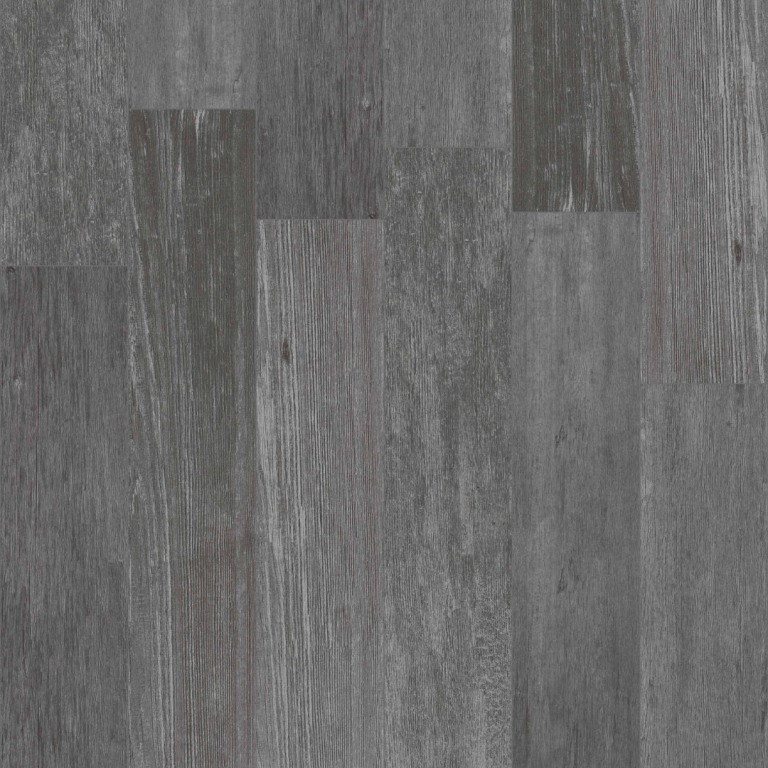 Larix umbra 25x150