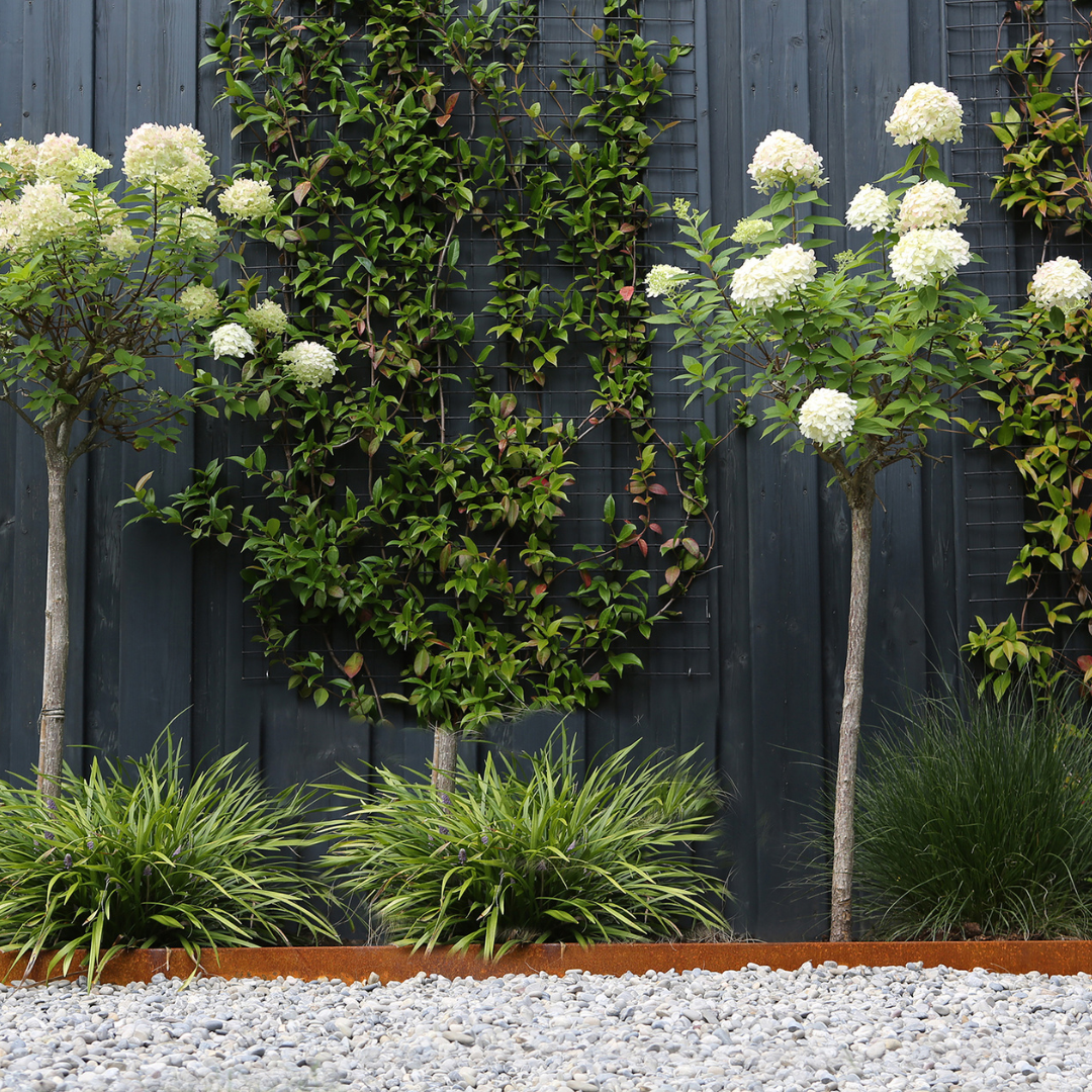 Kantopsluiting Corten Single