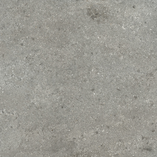 Calcide 20MM Avignone tegel 120x60 cm