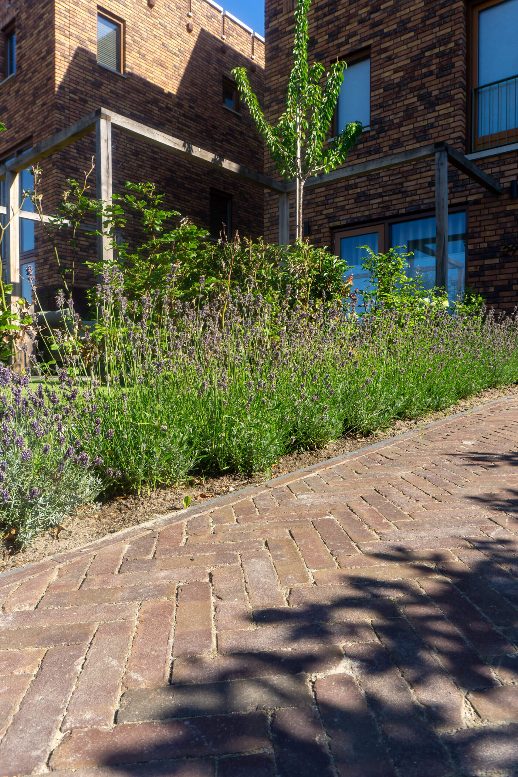 Bestrating kiezen: het stappenplan voor je tuin of oprit